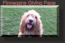 Finnegans Giving Page